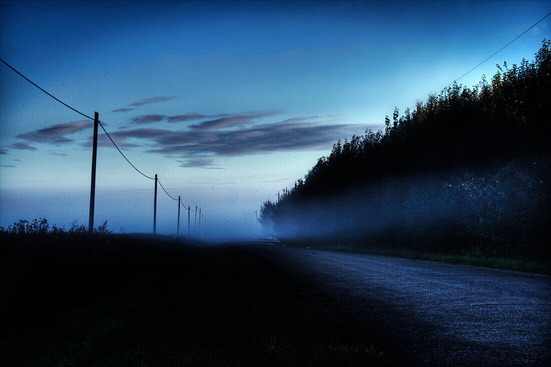 A foggy summer morning on a country road north of Edmonton, Alberta.
