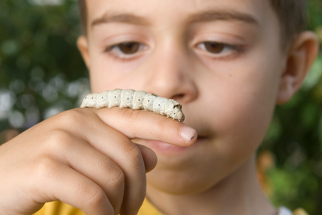 Close up of a little Boy holding silkworm, Laval, Quebec