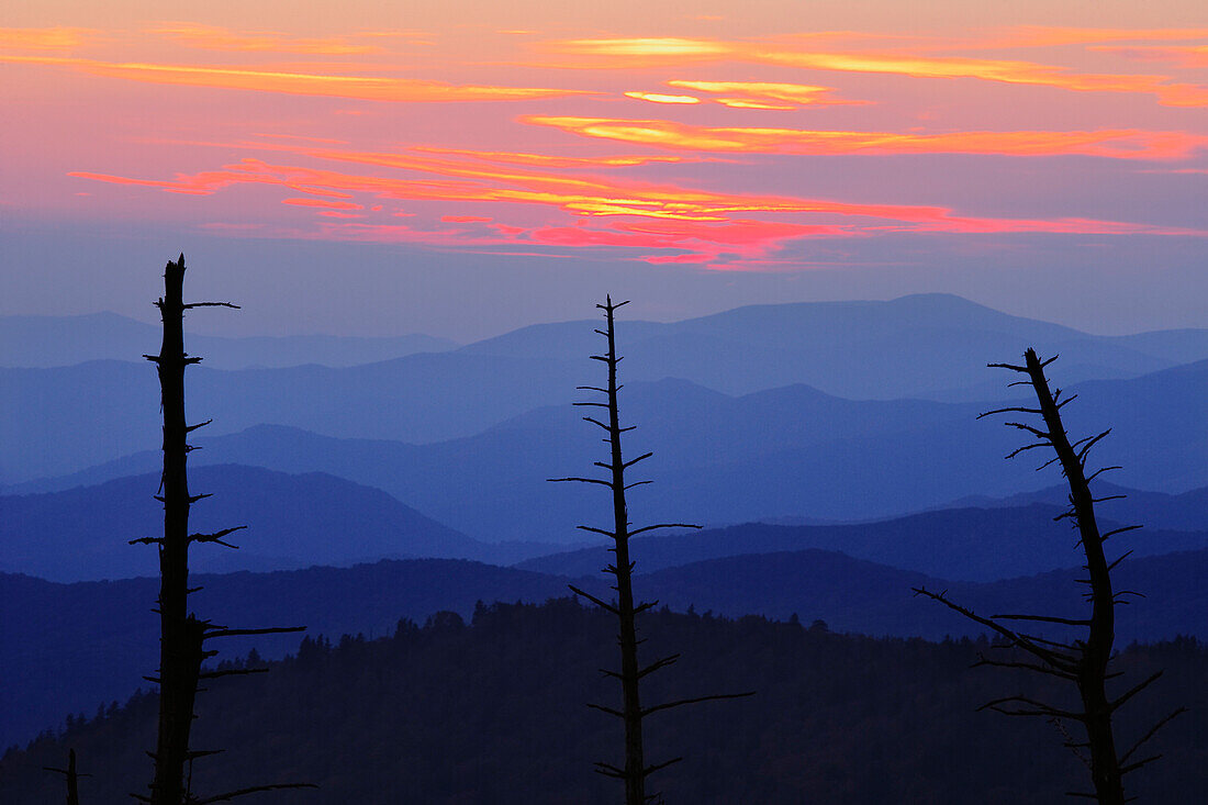 Dead trees and mountains at dusk from Clingmans Dome, Great Smoky Mountains National Park, North Carolina