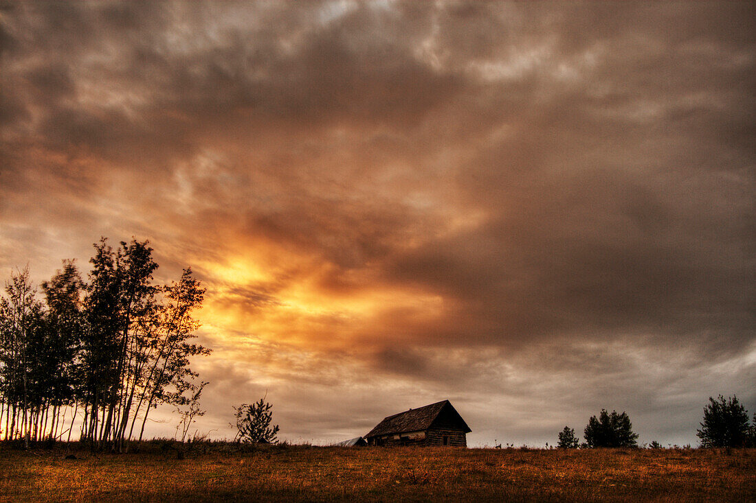 An old abandoned homestead on a hill during a fall sunset north of Bon Accord, Alberta.