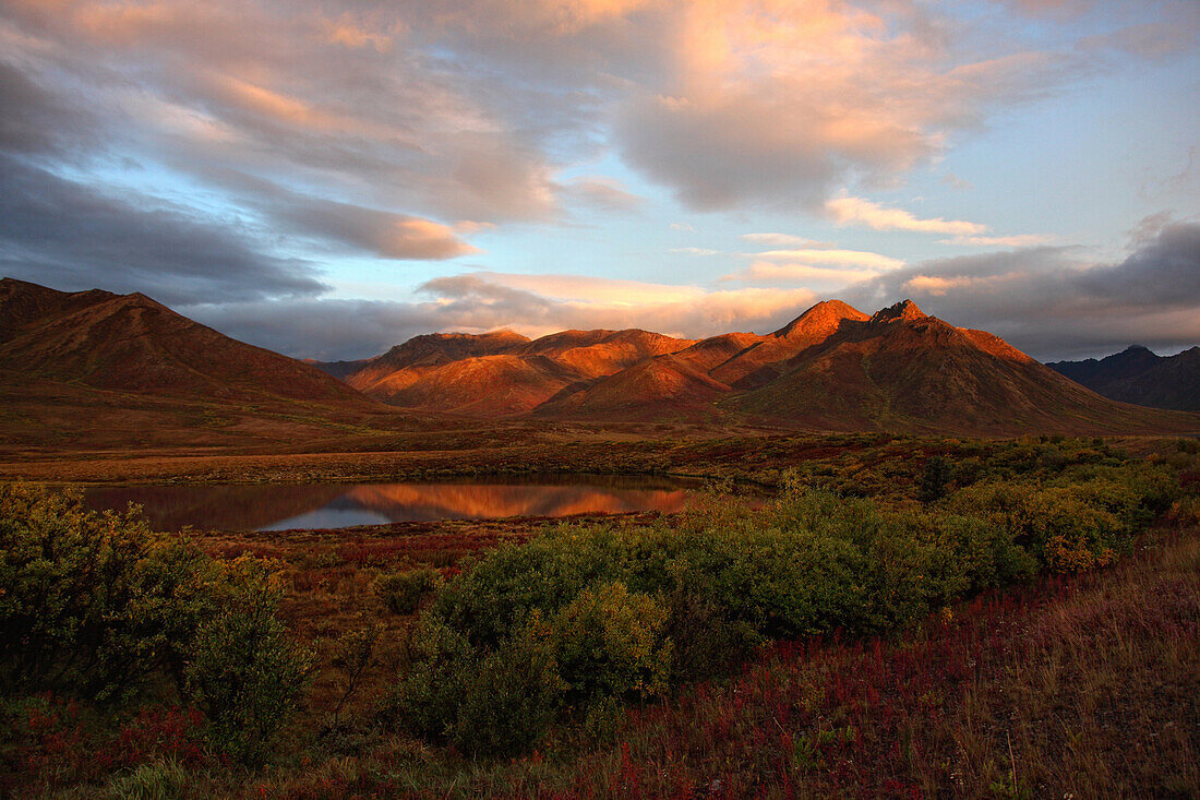 Morning sunlight lighting up Mount Adney and fall colours along the Dempster Highway, Yukon