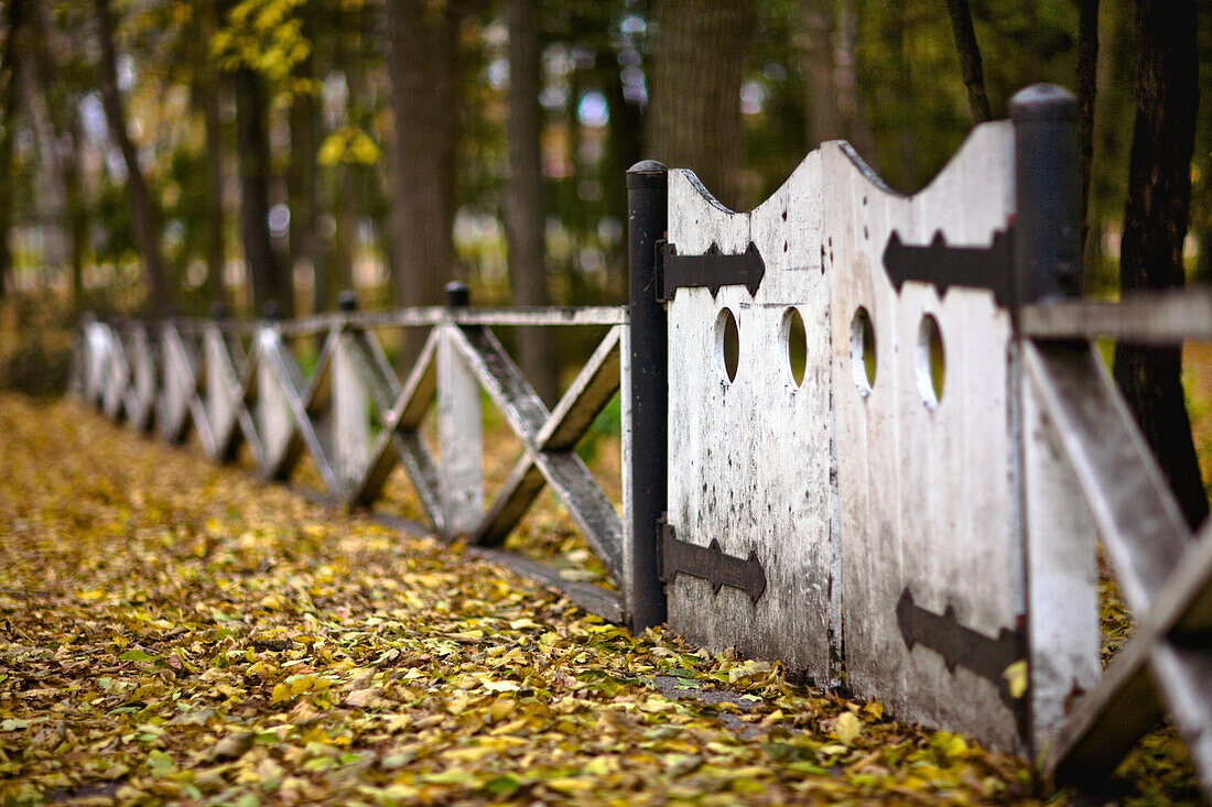 Autumn leaves and gate of The English Gardens, Assiniboine Park, Manitoba