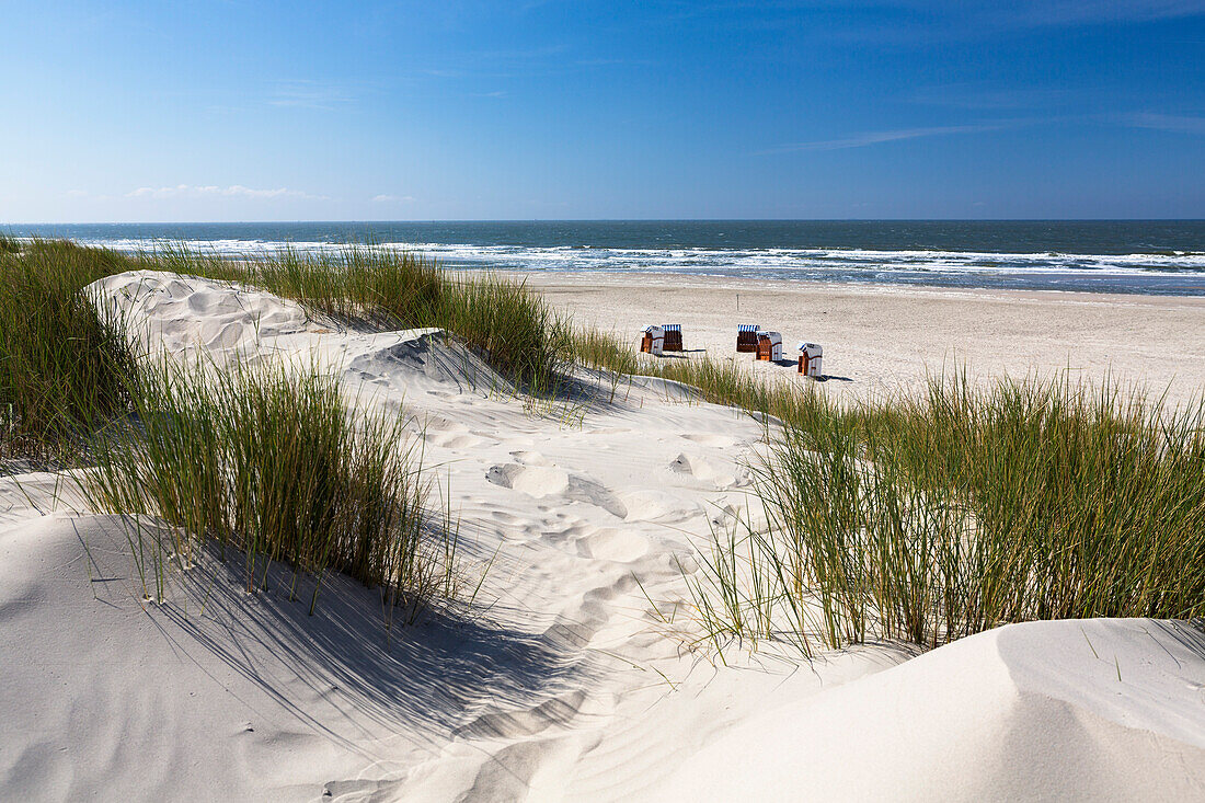 Strandkörbe am Strand und Dünen, Spiekeroog, Ostfriesische Inseln, Nordsee, Ostfriesland, Niedersachsen, Deutschland, Europa