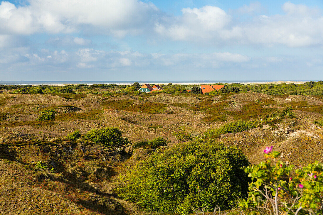 Blick von der Aussichtsdüne, Dünen, Spiekeroog, Ostfriesische Inseln, Nationalpark Niedersächsisches Wattenmeer, Nordsee, Ostfriesland, Niedersachsen, Deutschland, Europa