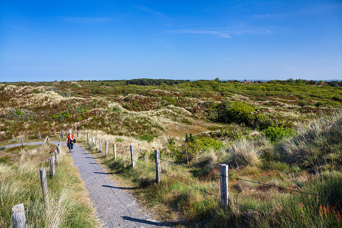 Trail in the dunes, Spiekeroog Island, National Park, North Sea, East Frisian Islands, East Frisia, Lower Saxony, Germany, Europe