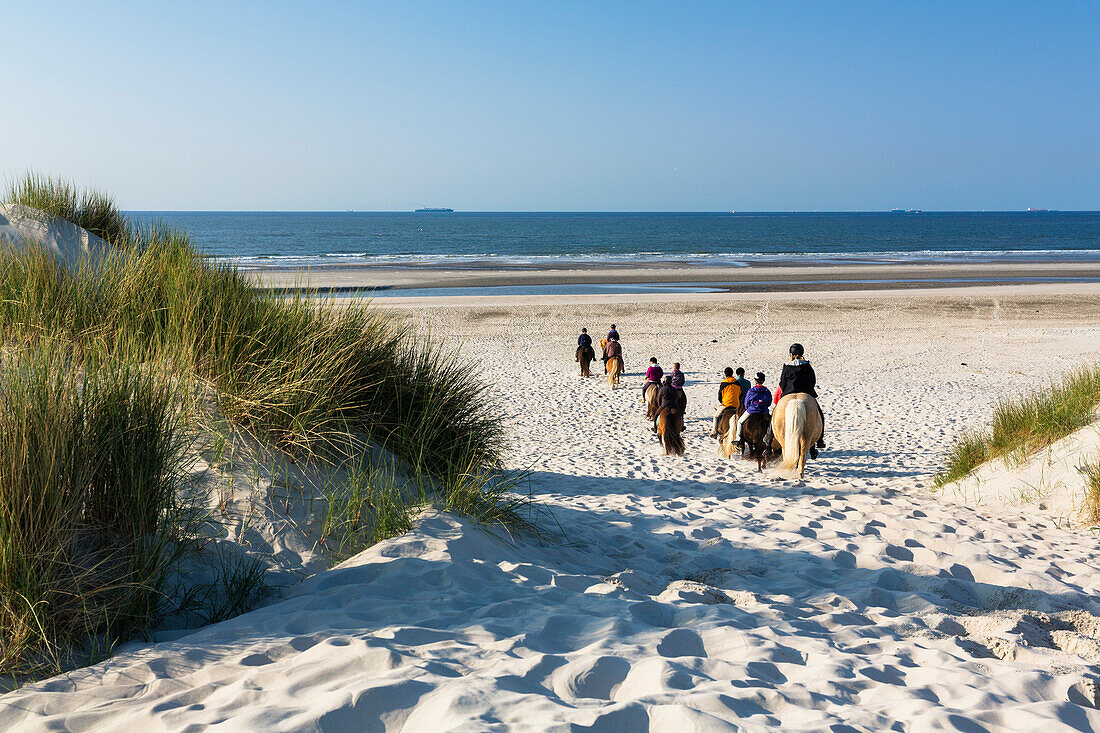 Reiter in den Dünen, Spiekeroog, Ostfriesische Inseln, Nationalpark Niedersächsisches Wattenmeer, Nordsee, Ostfriesland, Niedersachsen, Deutschland, Europa