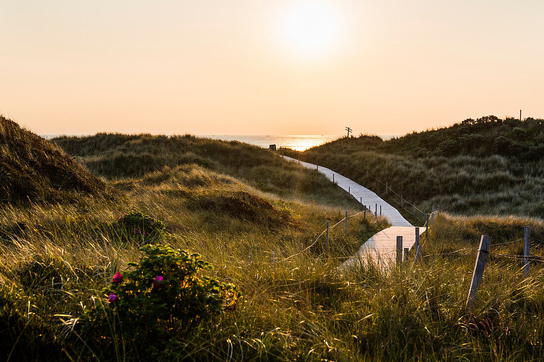 Weg in den Dünen, Sonnenuntergang, Spiekeroog, Ostfriesische Inseln, Nationalpark Niedersächsisches Wattenmeer, Nordsee, Ostfriesland, Niedersachsen, Deutschland, Europa