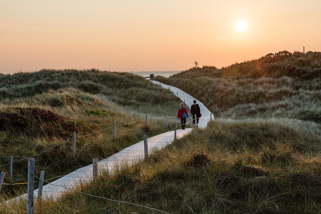 Path through the dunes at sunset, Spiekeroog Island, National Park, North Sea, East Frisian Islands, East Frisia, Lower Saxony, Germany, Europe