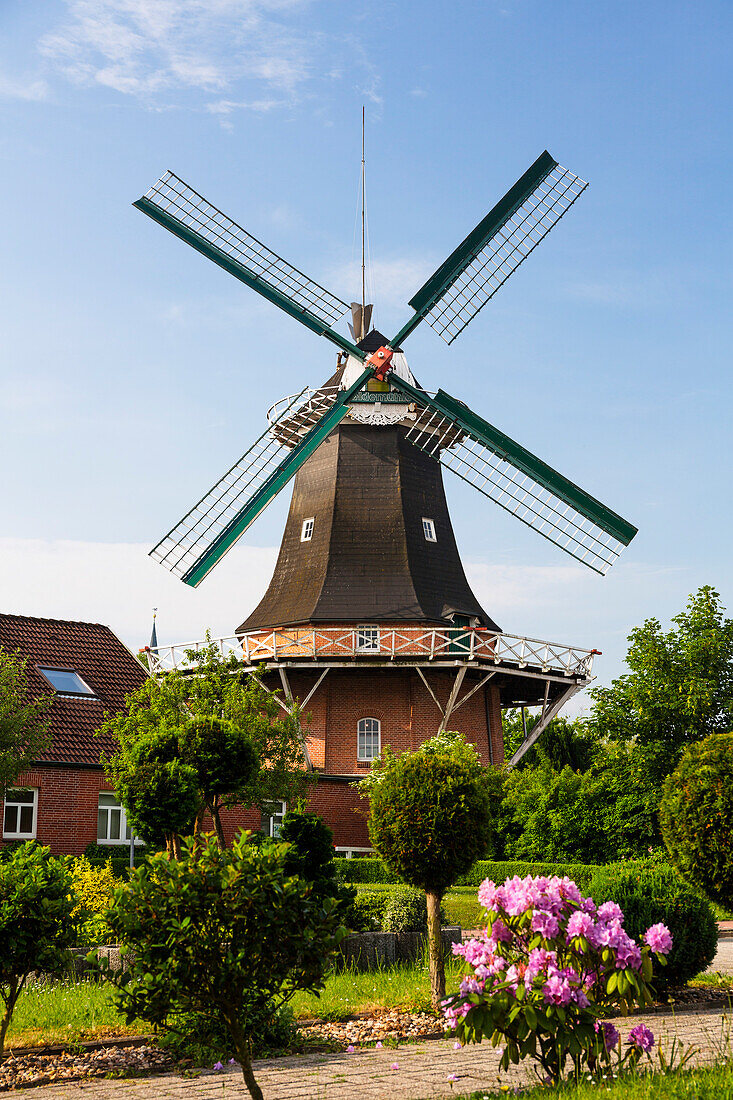 Peldemuehle windmill in Esens, Lower Saxony, Germany, Europe