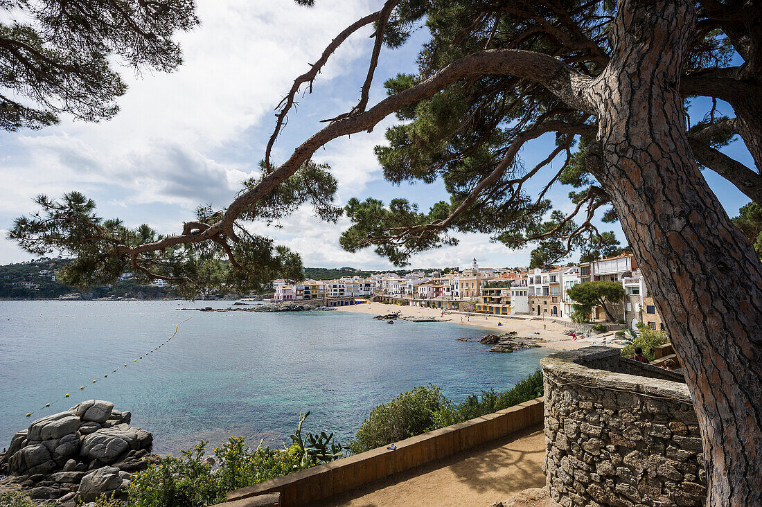 View of Calella de Palafrugell, Palafrugell, Costa Brava, Spain