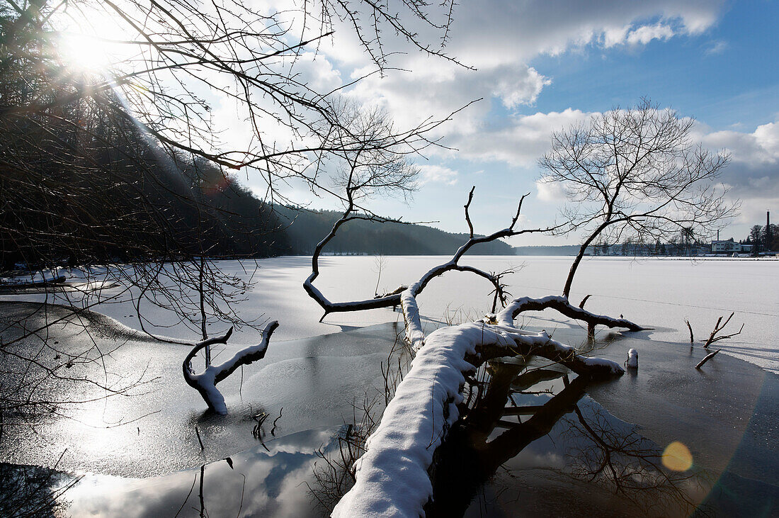 Shore of Lake Werbellinsee in Winter, Joachimsthal, Schorfheide Biosphere Reserve, Uckermark, Brandenburg, Germany