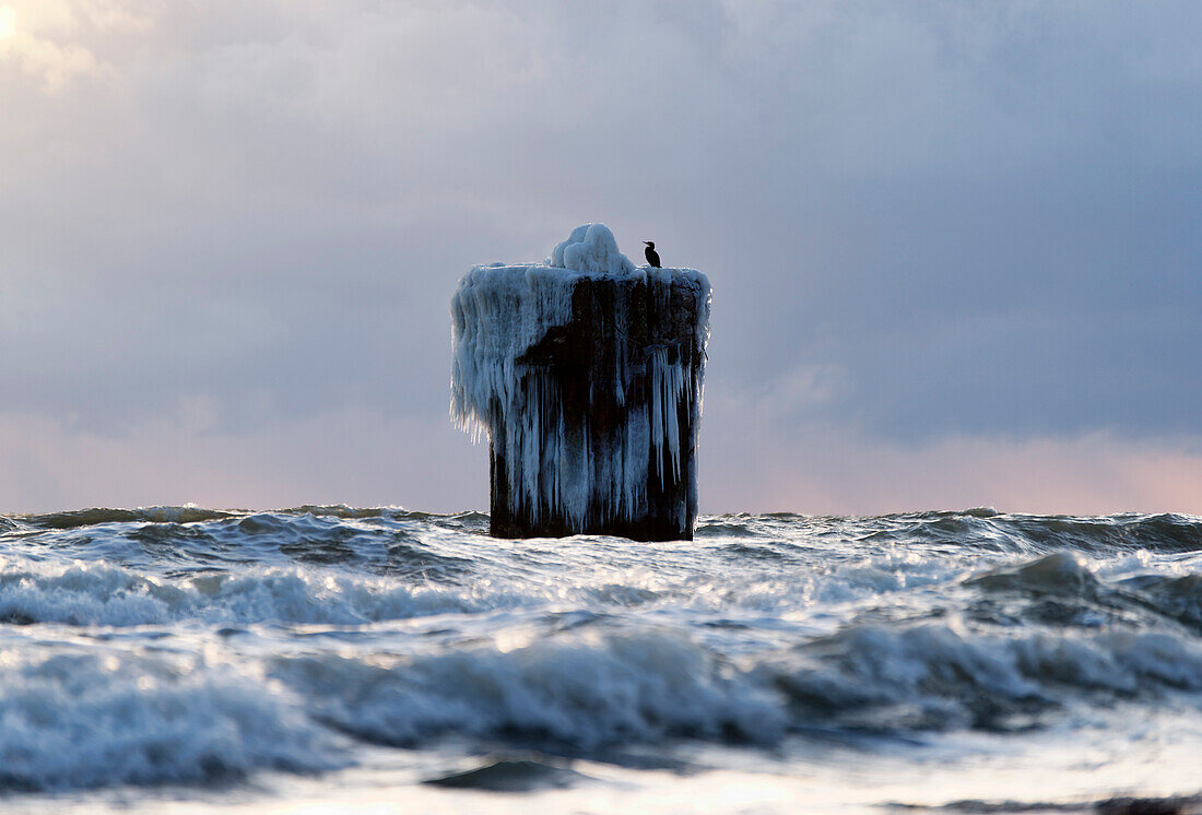 Baltic Sea in Winter, Cape Arkona, Island of Ruegen, Mecklenburg-Western Pomerania, Germany