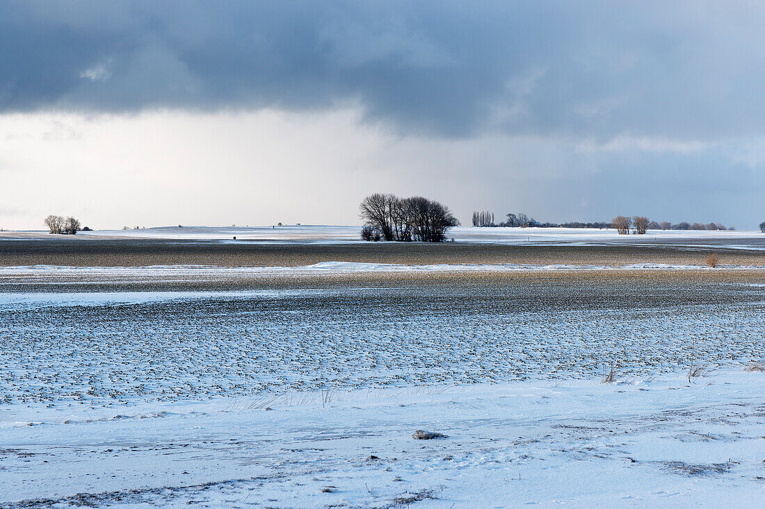 Winter Landscape in Putgarten, Cape Arkona, Island of Ruegen, Mecklenburg-Western Pomerania, Germany