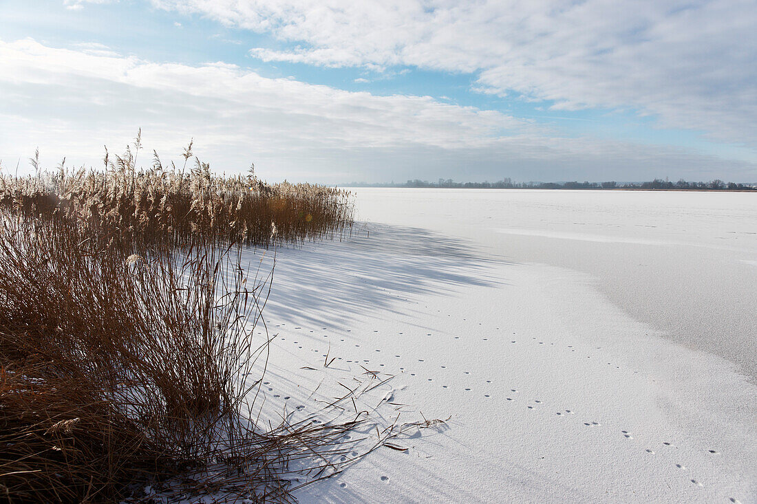 Lake Unterucker in Winter, Prenzlau, Uckermark, Country Brandenburg, Germany