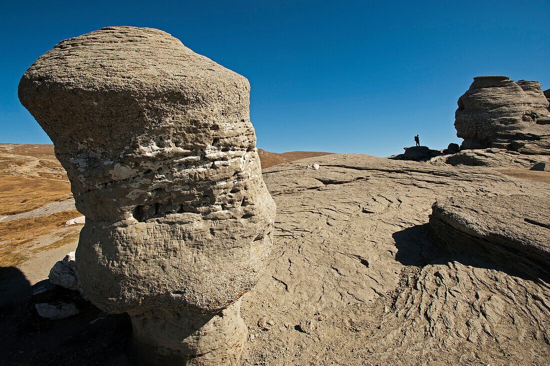 The rock formation of the Sphinx, Bucegi Mountains, Transylvania, Romania