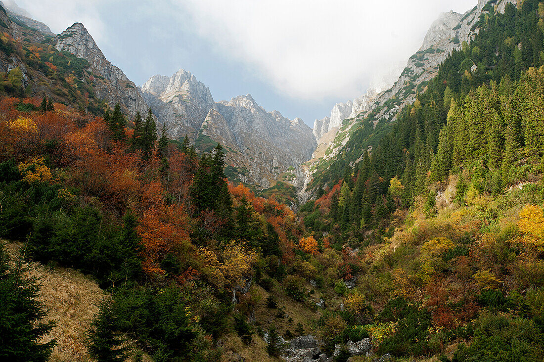 Descent to Victoria, Becegi Mountains, Transylvania, Romania