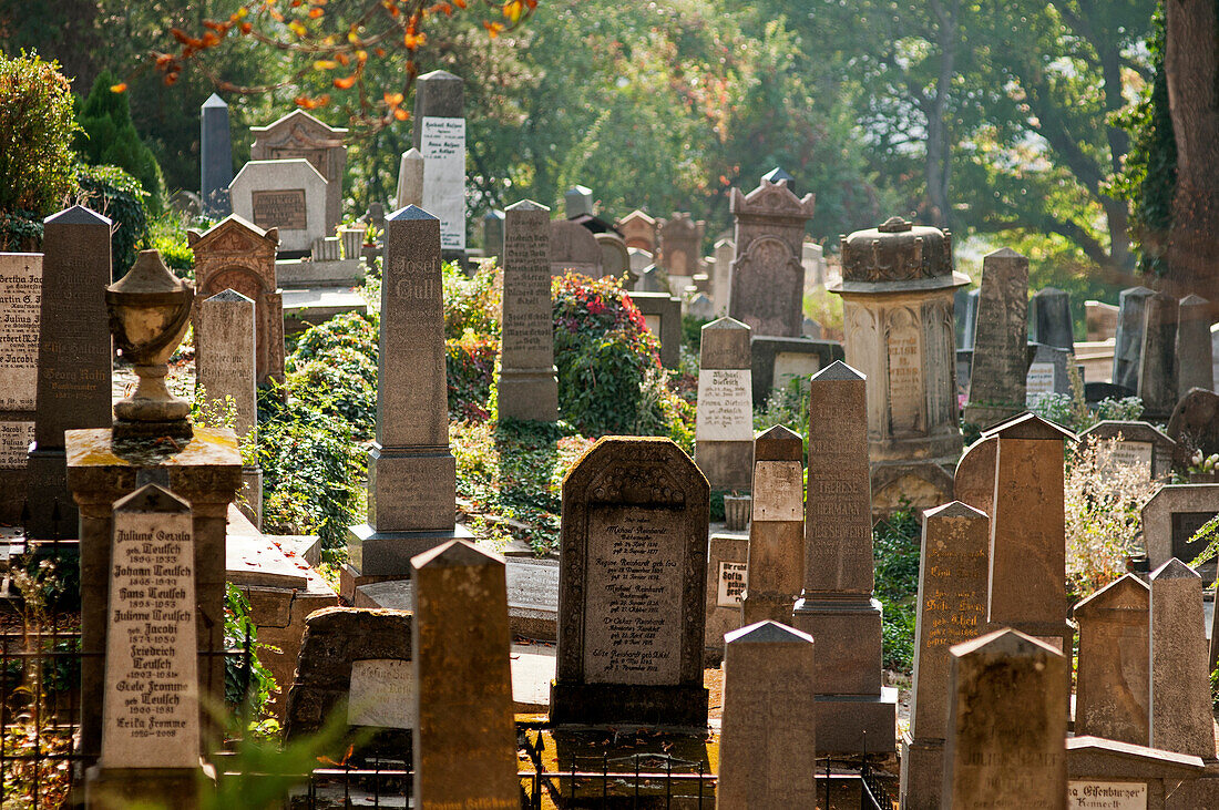 Sächsische Friedhof in der Altstadt, Sighisoara, Transylvanien, Rumänien