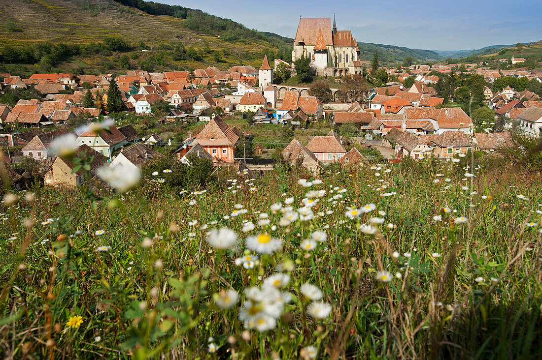 Blick zum Dorf mit Wehrkirche, Biertan, Transylvanien, Rumänien