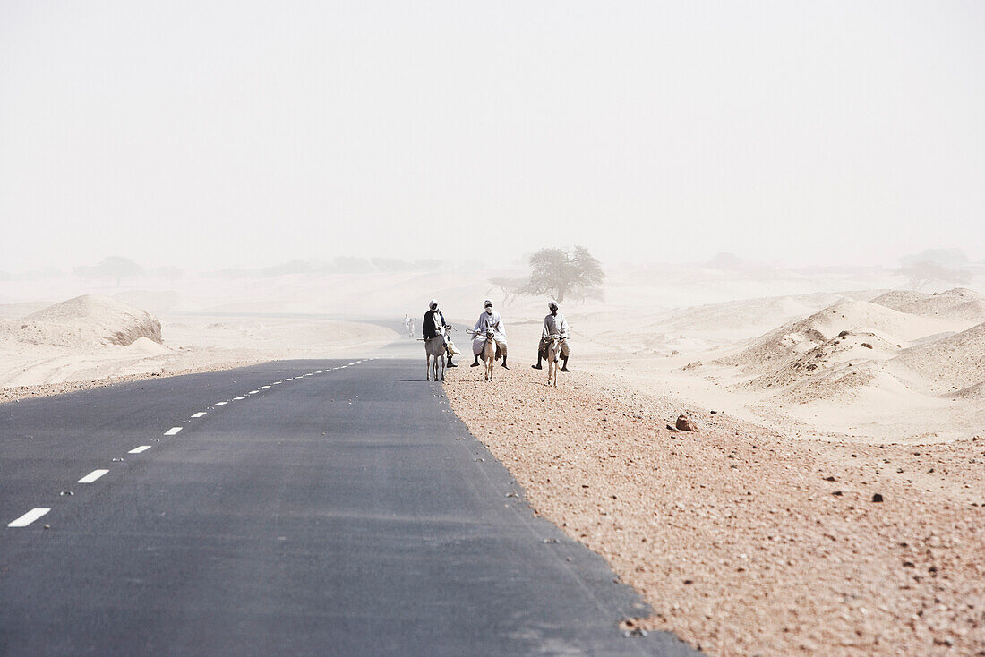 Persons riding donkeys along street to Merowe, Northern, Sudan