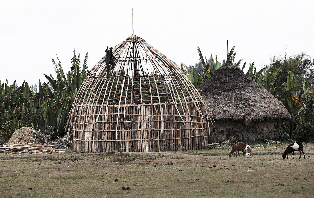 Hausbau, Lalibela, Amhara, Äthiopien