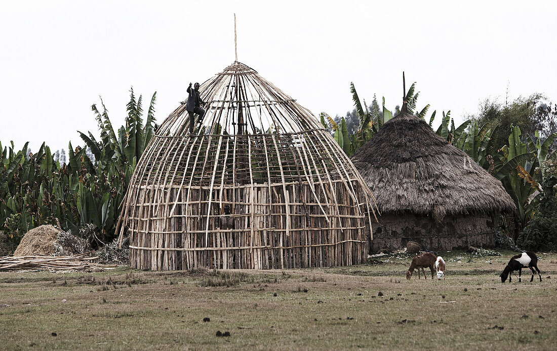 House building, Lalibela, Amhara Region, Ethiopia