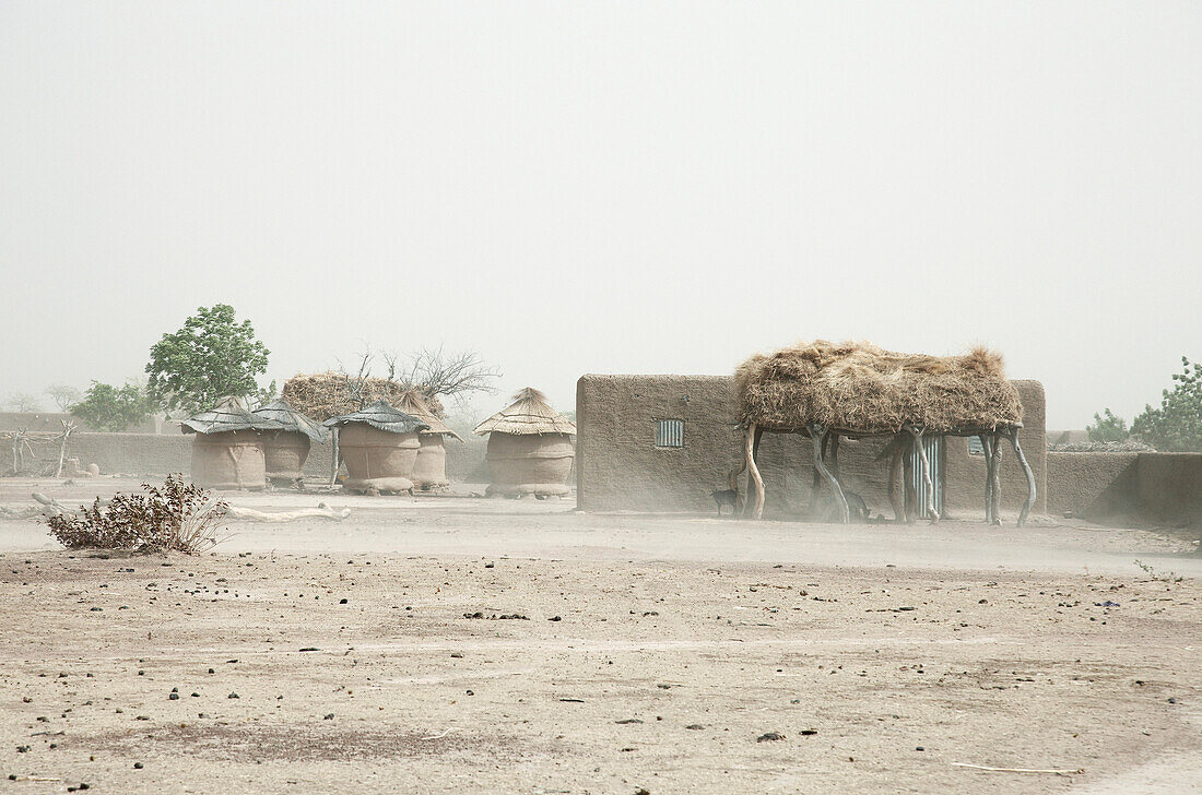 Sandsturm zieht durch ein Dorf, Dogon-Land, Region Mopti, Mali