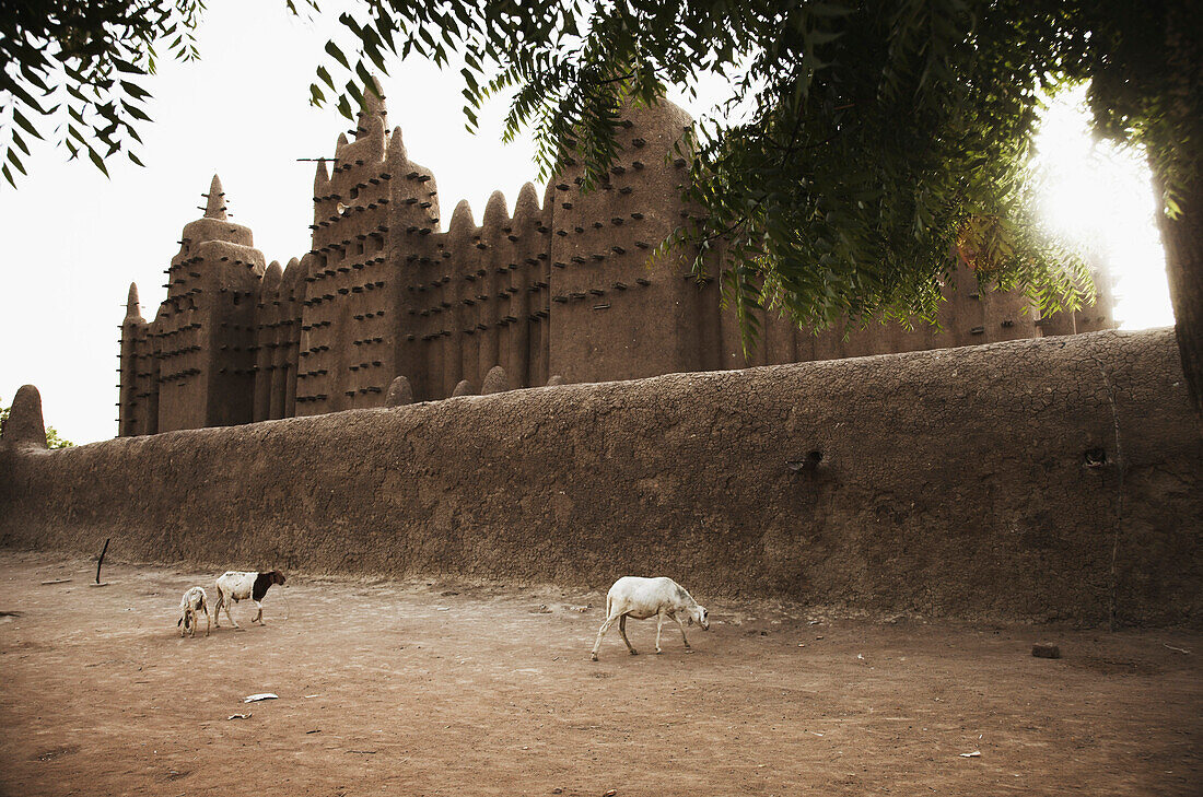 Große Moschee, Djenne, Region Mopti, Mali