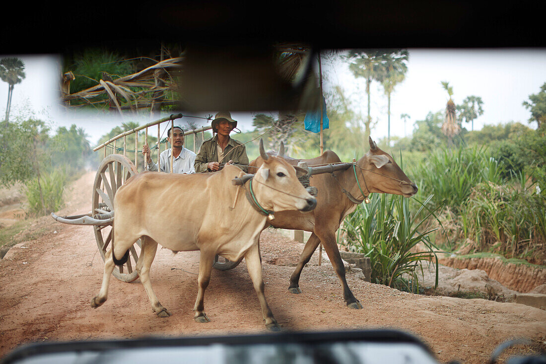 Ochsenkarren, nahe Roluos-Gruppe, Siem Reap, Kambodscha