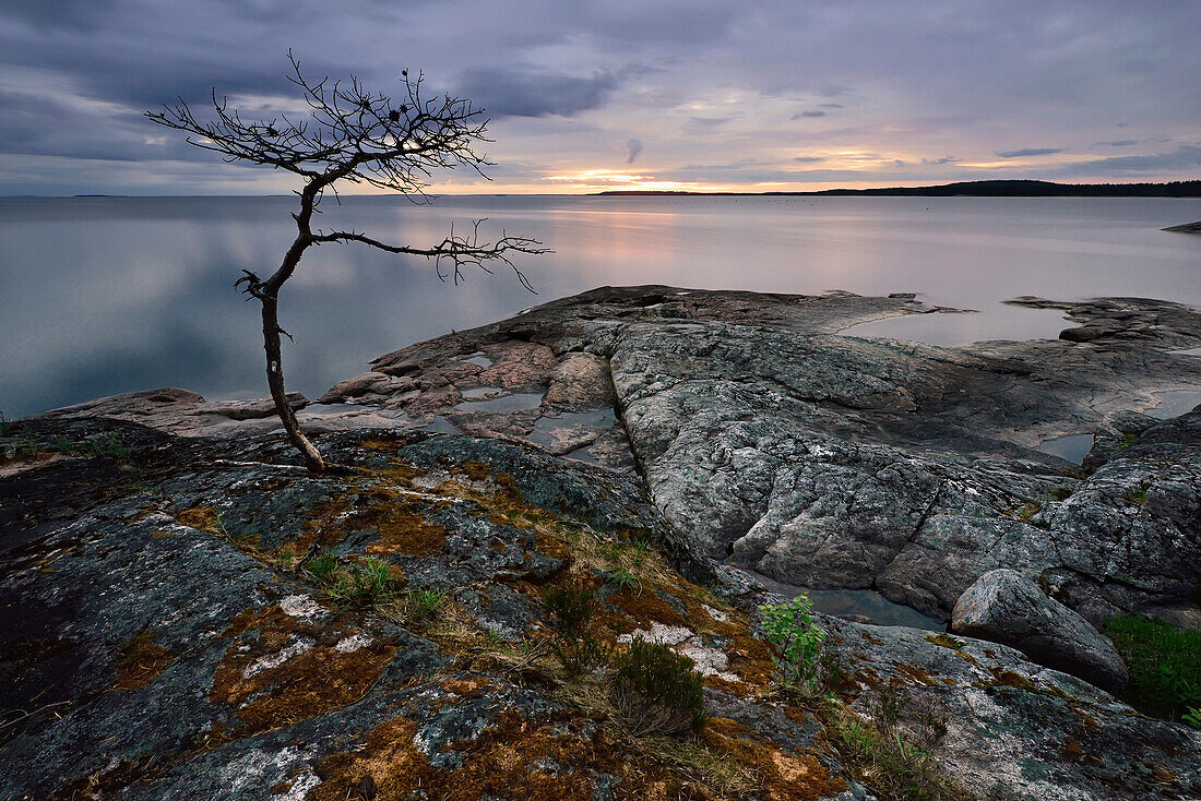 White Nights, shore of lake Onega, The Republic of Karelia, Russia