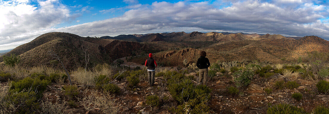 Blick über die Berge der Flinders Ranges, Flinders Ranges Nationalpark, Südaustralien, Australien