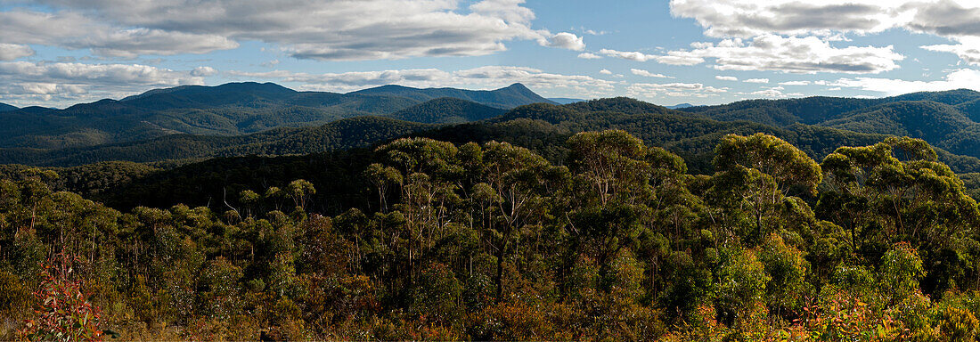 Panoramablick vom Mealing Hill über die Wälder des Nationalparks, Coopracambra-Nationalpark, Victoria, Australien