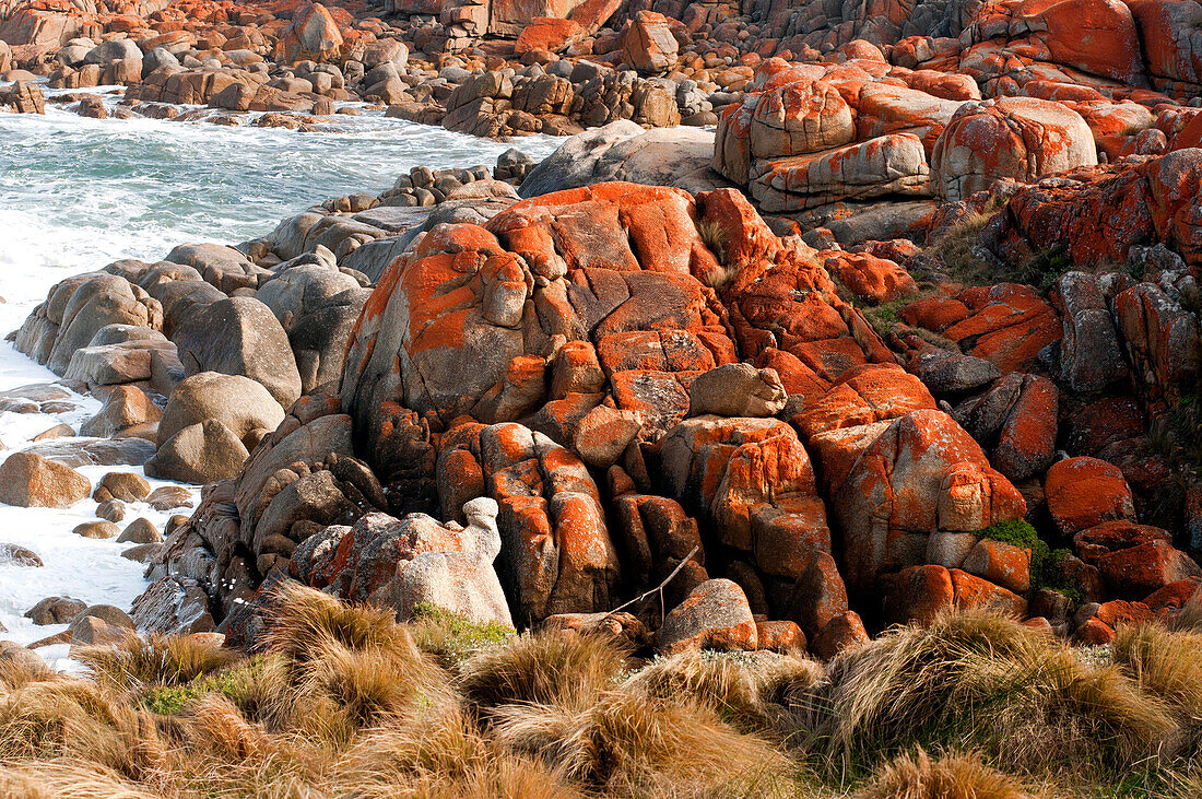 Lichen covered granite rocks at Point Hicks, Croajingolong National Park, Victoria, Australia