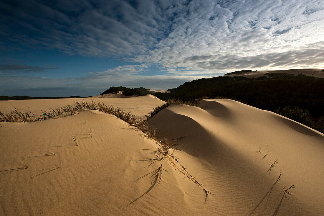 Die Thurra Sanddünen, Croajingolong Nationalpark, Victoria, Australien