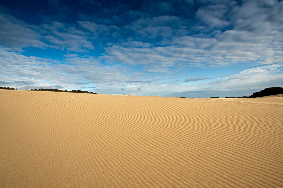 Thurra sand dunes, Croajingolong National Park, Victoria, Australia