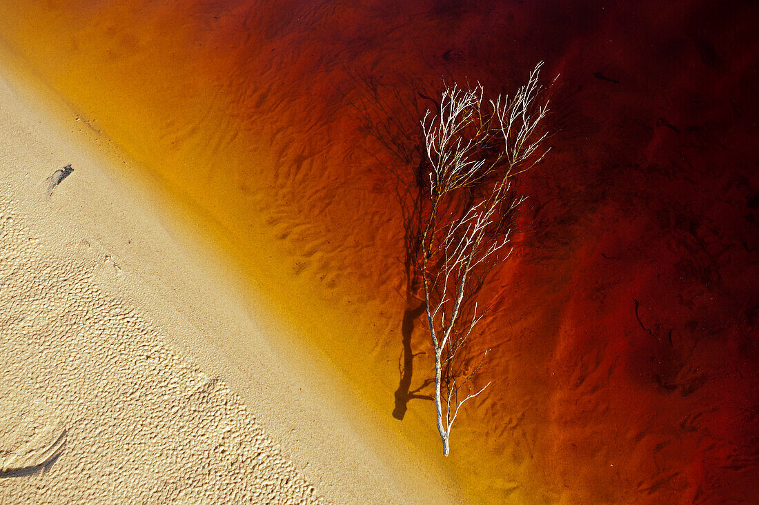 Der von Gerbsäure gefärbte Seal Creek, Croajingolong Nationalpark, Victoria, Australien
