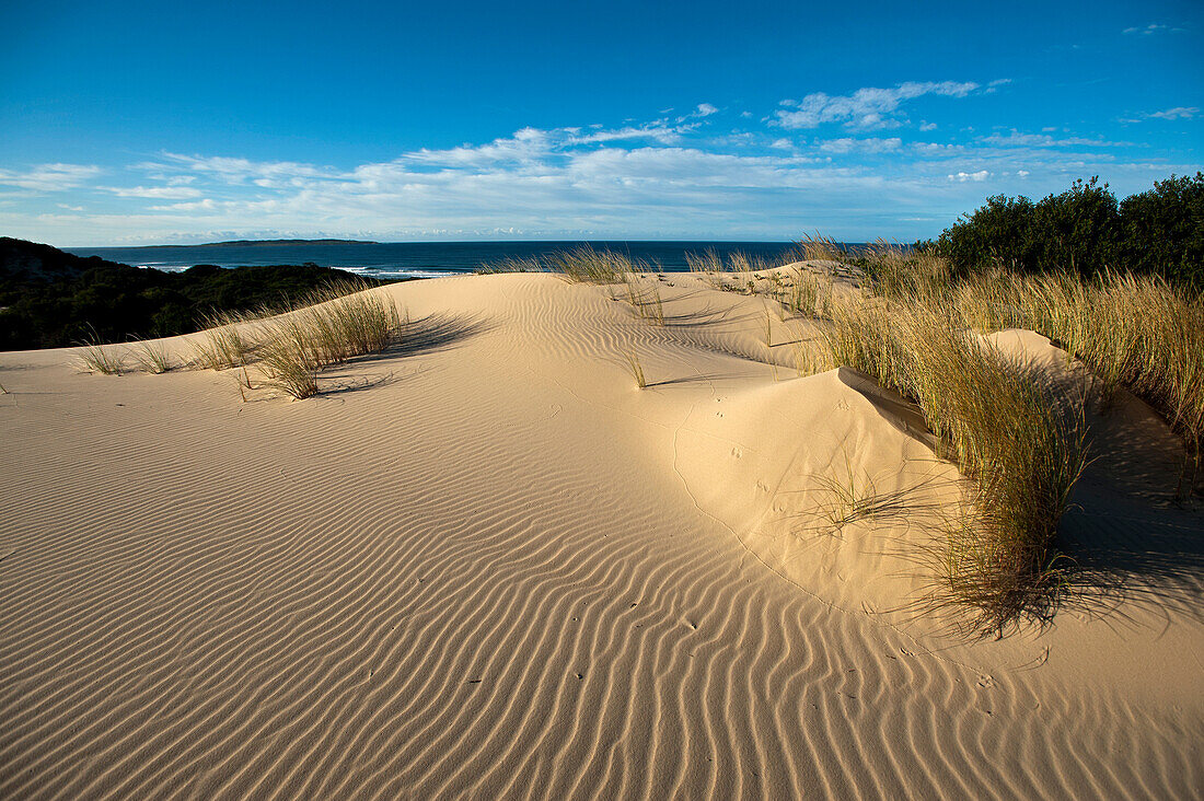 Sanddünen in der Cape Howe Wildnis, Croajingolong Nationalpark, Victoria, Australien