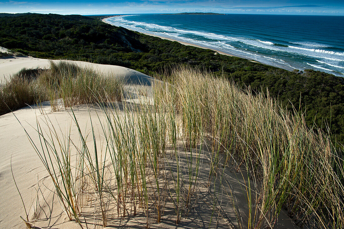 Sanddünen in der Cape Howe Wildnis, Croajingolong Nationalpark, Victoria, Australien