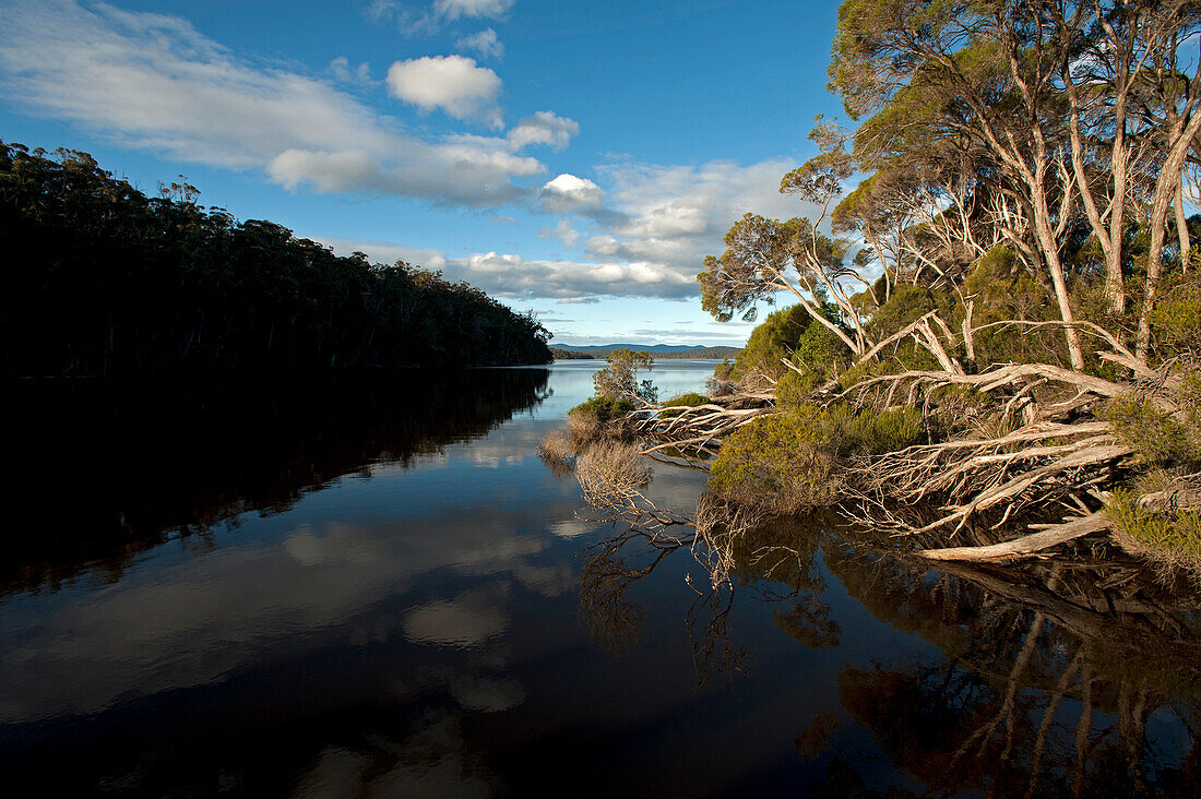 Mallacoota Inlet mit Spiegelung, Croajingolong Nationalpark, Victoria, Australien