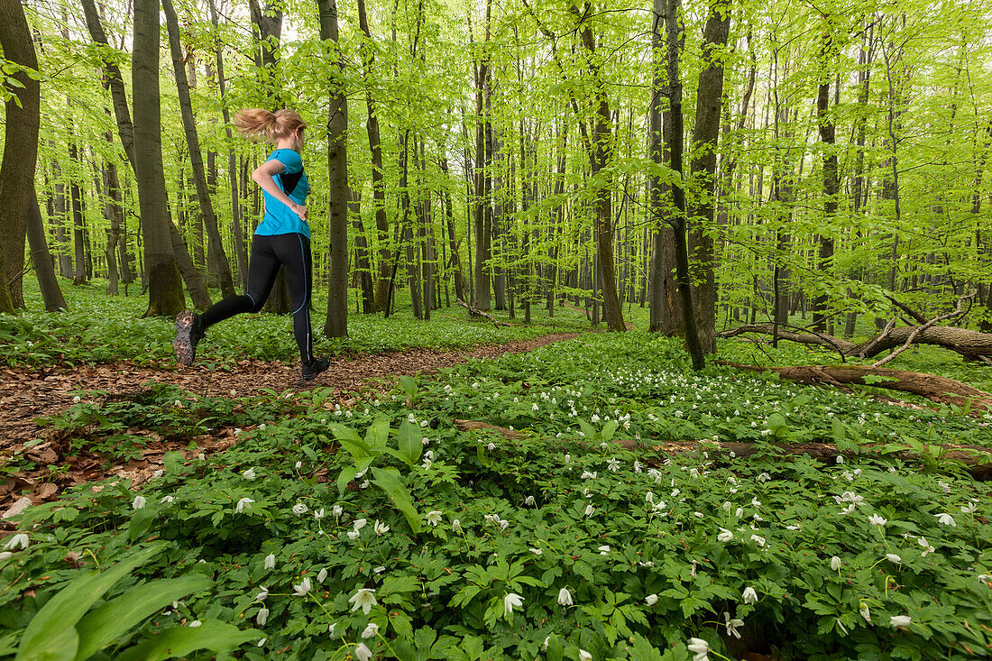 Junge Frau joggt im Buchenwald, Nationalpark Hainich, Thüringen, Deutschland