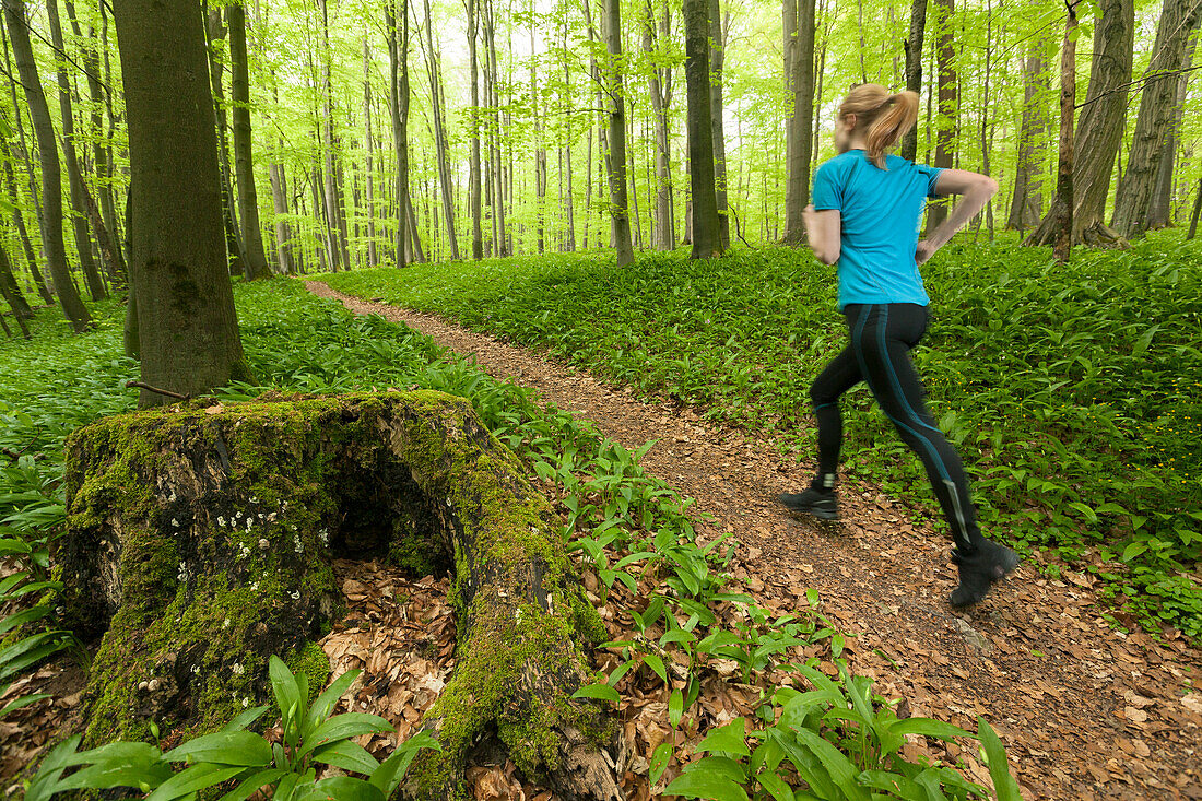 Junge Frau joggt in einem Buchenwald, Nationalpark Hainich, Thüringen, Deutschland