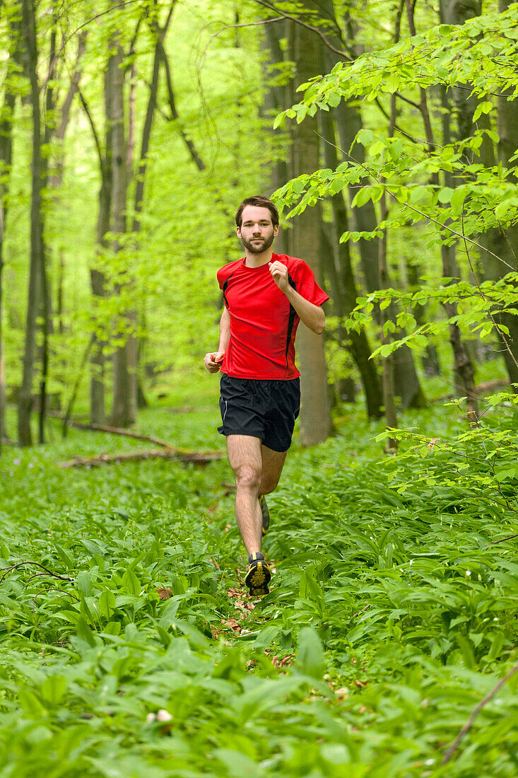 Young man jogging through a beech forest, National Park Hainich, Thuringia, Germany