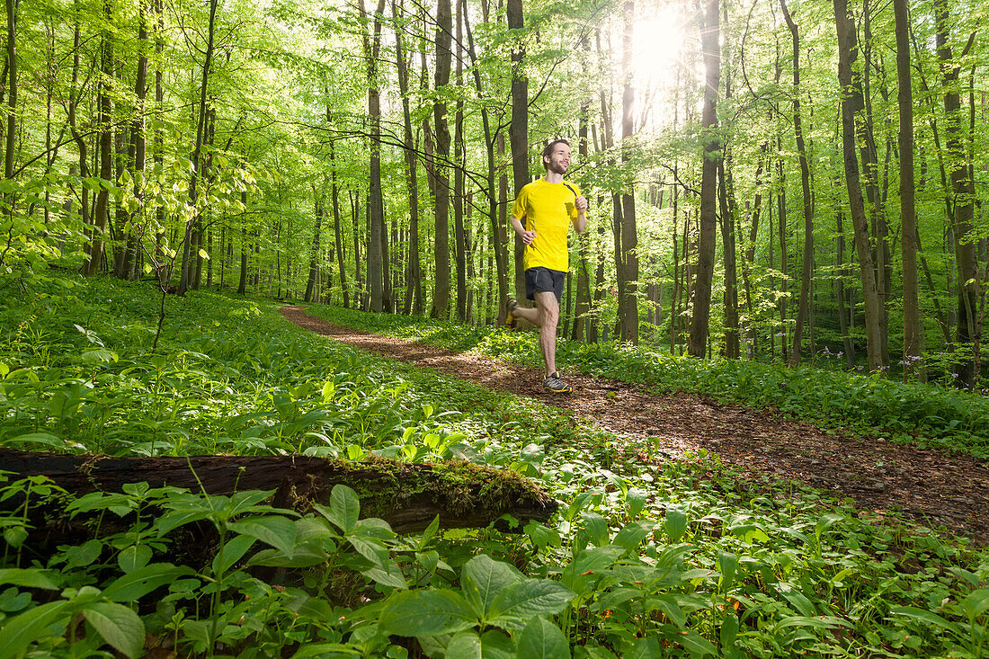 Young man jogging in a beech forest, National Park Hainich, Thuringia, Germany