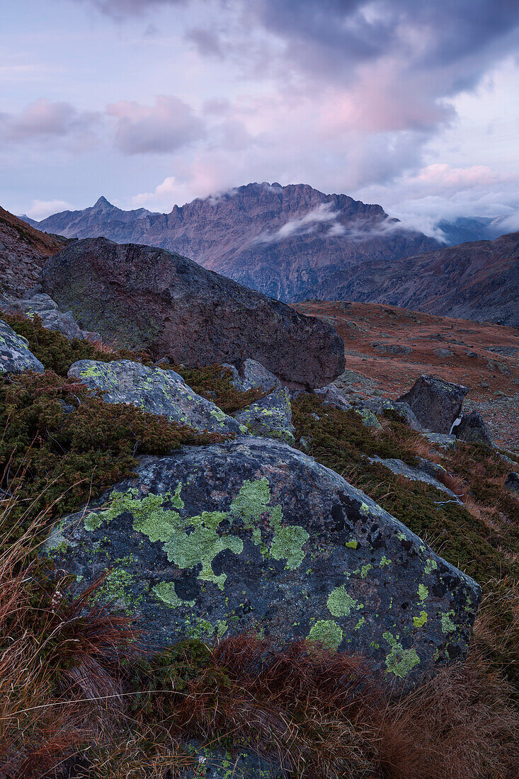 Scenery in Morteratsch valley, Piz Albris in background, Engadin, Canton of Grisons, Switzerland