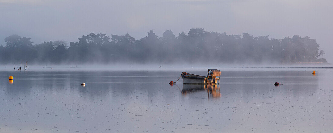 Fishing boat on Ria Etel in morning mist, Etel, Morbihan, Brittany, France