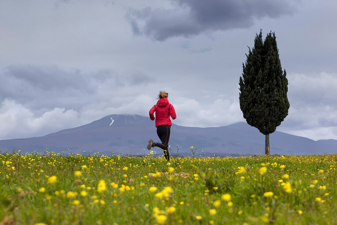 Young womna jogging along a blooming flower meadow, Monte Amiata in background, Tuscany, Italy