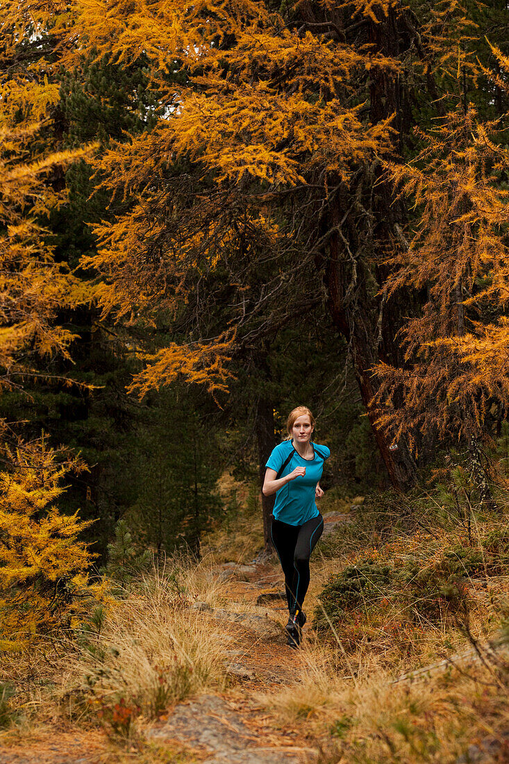 Young woman running on a trail through a larch forest in Zay valley, Stelvio National Park, South Tyrol, Italy