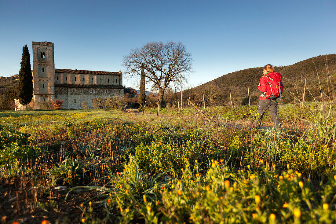 Junge Frau wandert, Abtei Sant Antimo im Hintergrund, Val d Orcia, Toskana, Italien