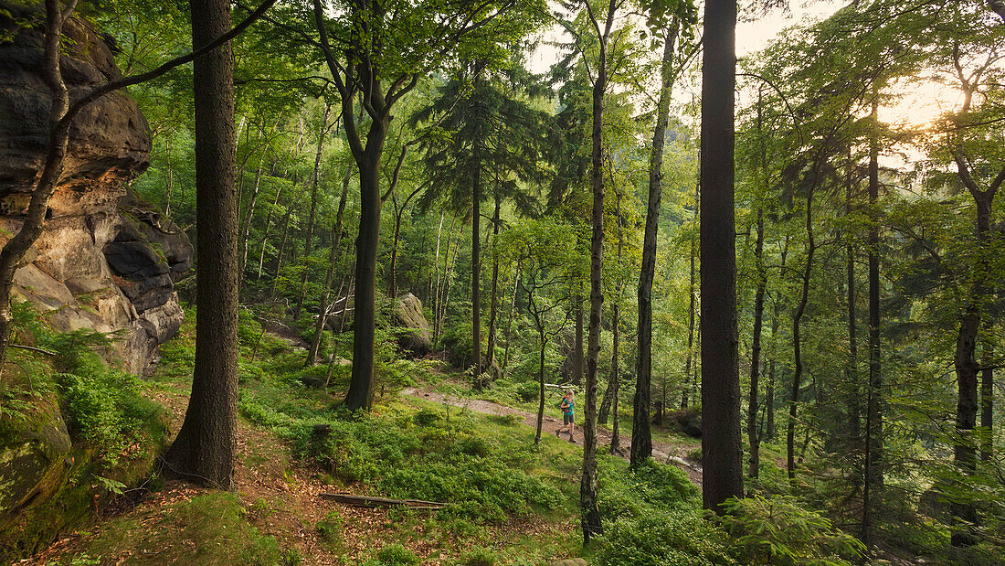 Junge Frau wandert im Wald, Nationalpark Sächsische Schweiz, Sachsen, Deutschland