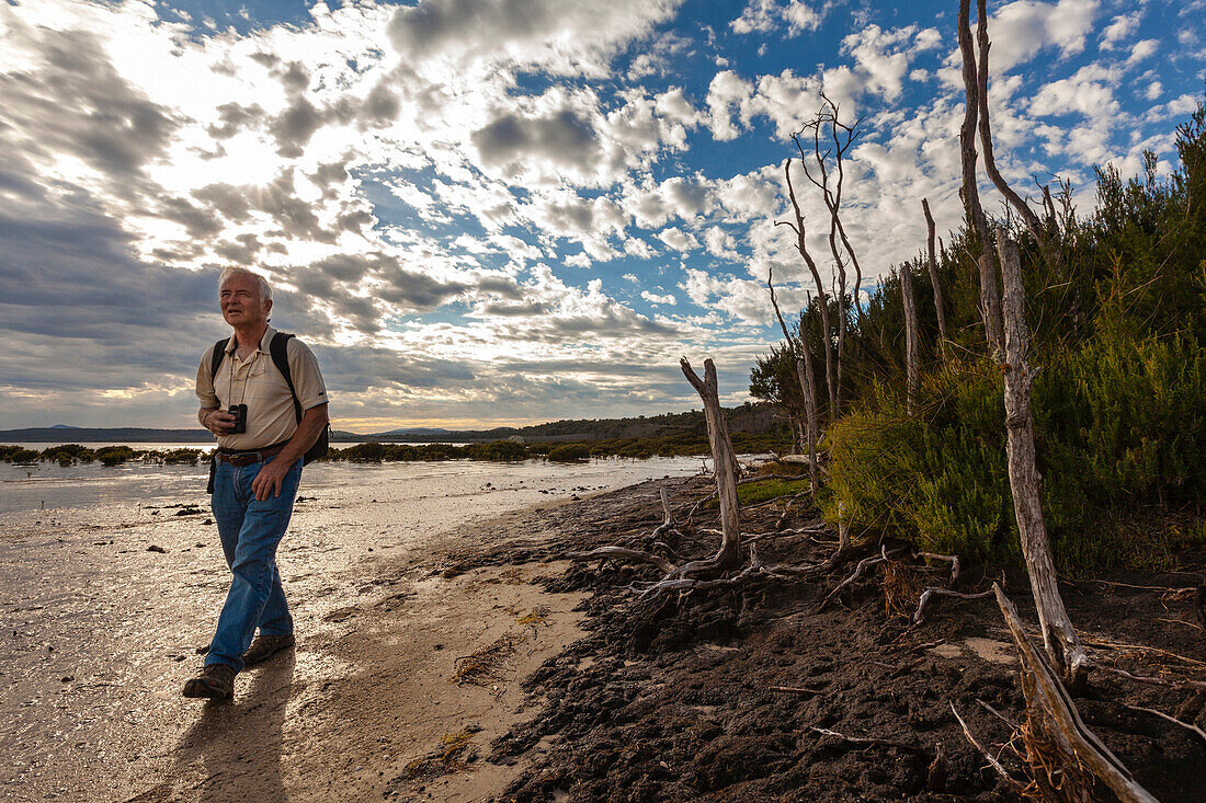 Man hiking between mangroves, Millers Landing, Wilsons Promontory, Victoria, Australia