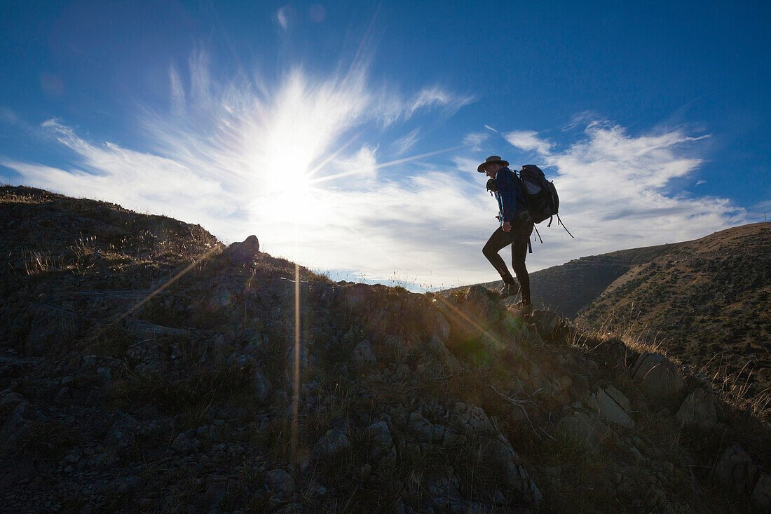 Mann wandert über den Razorback Grat zum Mount Feathertop, Alpine National Park, Victoria, Australien